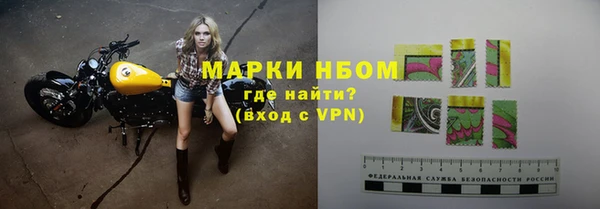 хмурый Абаза