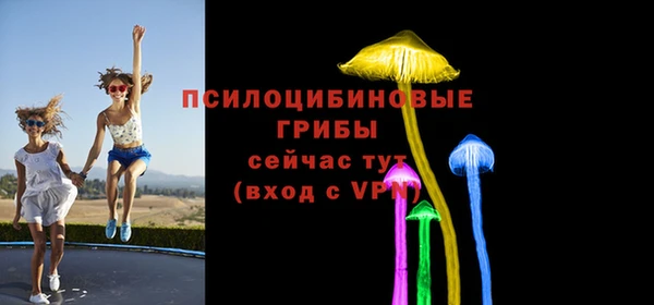 кокс Алзамай