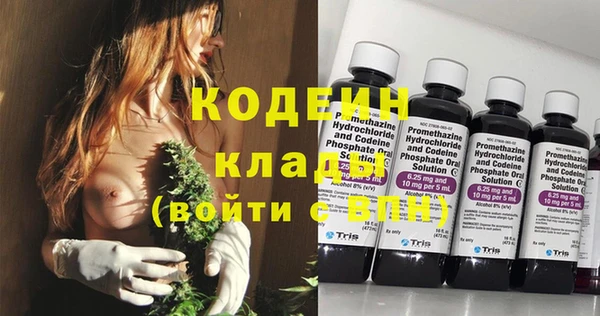 хмурый Абаза