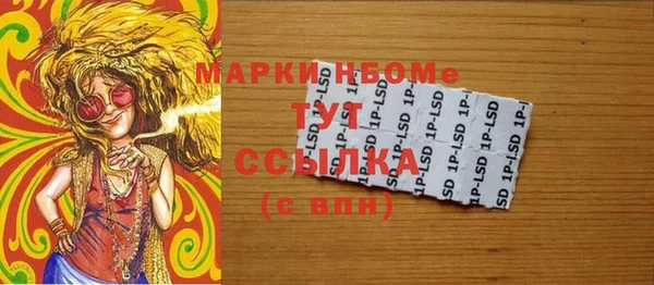 хмурый Абаза