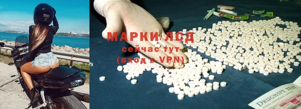 хмурый Абаза