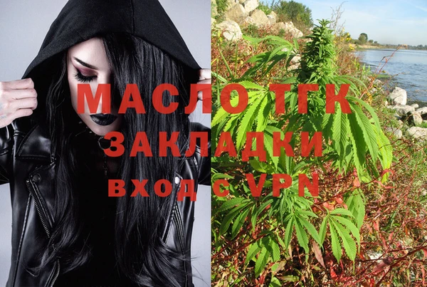хмурый Абаза