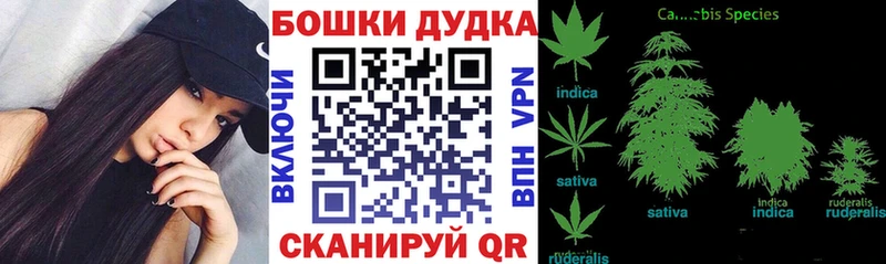 Конопля OG Kush цена ссылка на мегу вход Артём